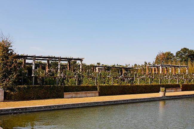 Chateau du Champ de Bataille-101